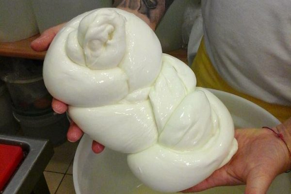 Bufalandia di Del Vecchio Antonio a Napoli per la vera mozzarella di bufala